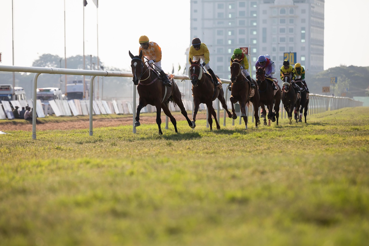 Race Horse