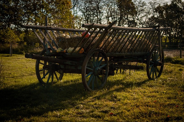 Free Wagon Pumpkin photo and picture