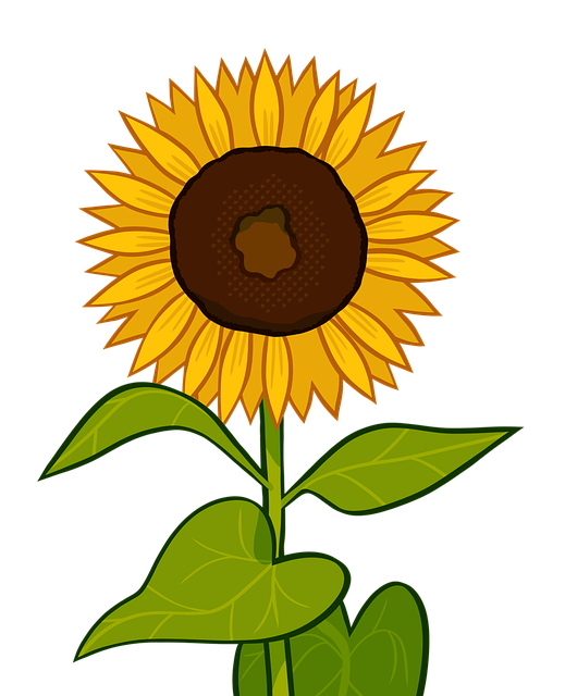 Download Flower Sunflower Plants Royalty Free Stock Illustration Download Flower Sunflower Plants Royalty Free Stock Illustration