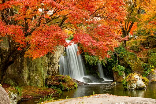 Free Nature At It Best illustration and picture