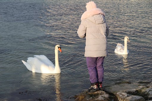 Free Swan Girl photo and picture