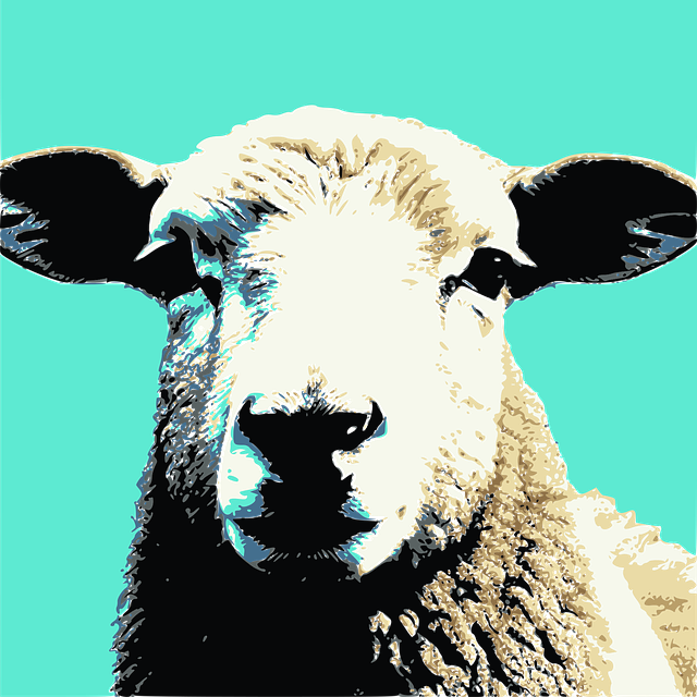 Oveja, Cordero, Animal, Naturaleza