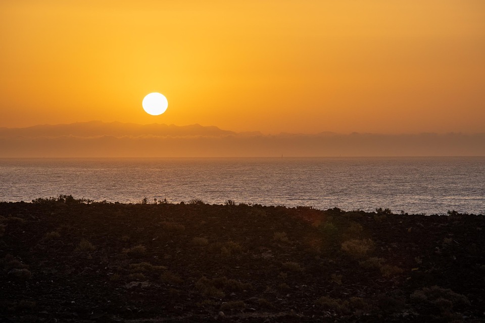 Ai Generated Canary Islands - Free photo on Pixabay - Pixabay