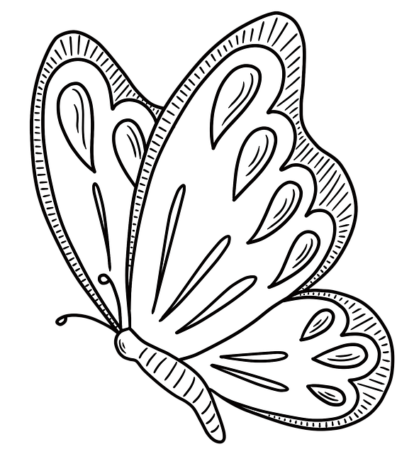 Free butterfly spring beginning of spring illustration