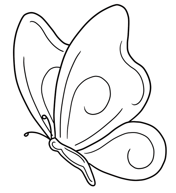 Free butterfly spring beginning of spring illustration