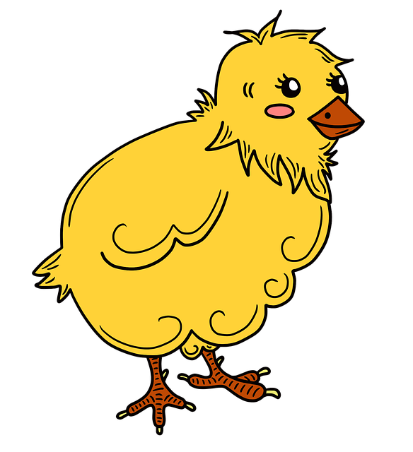 Free chick spring beginning of spring illustration