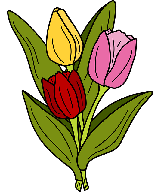 Free tulip spring beginning of spring illustration