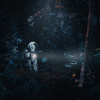 Ai Generat, Om, Astronaut, Pădure
