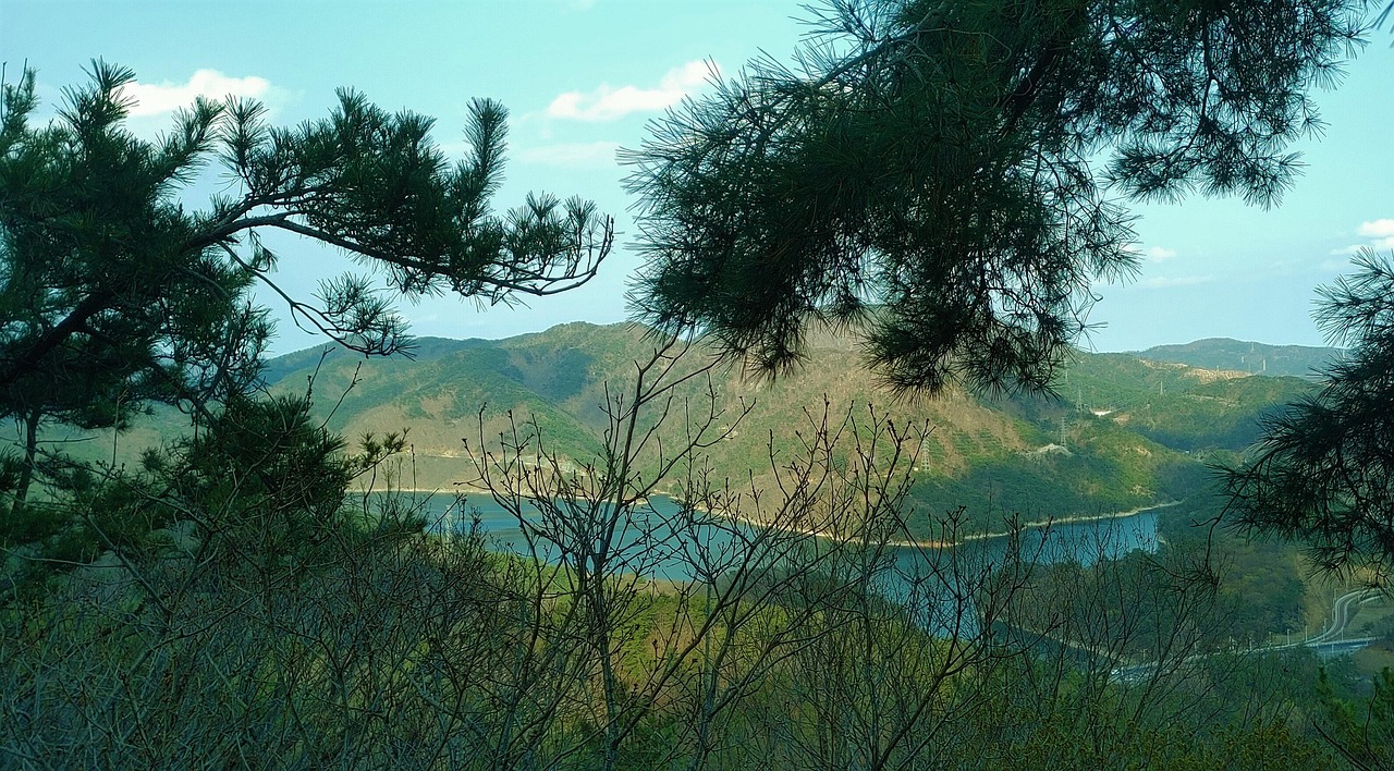 강 자연 풍경 - Pixabay의 무료 이미지 - Pixabay