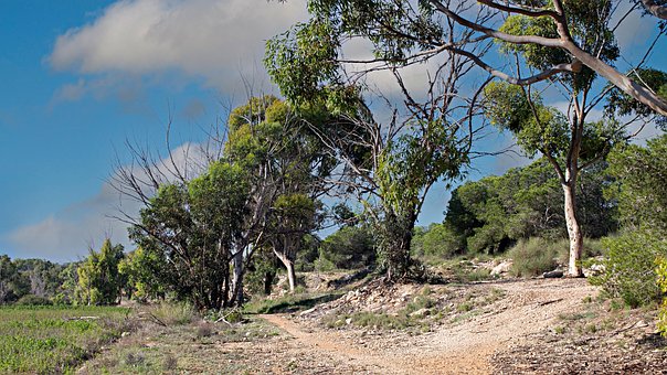 Free Paisaje Naturaleza illustration and picture
