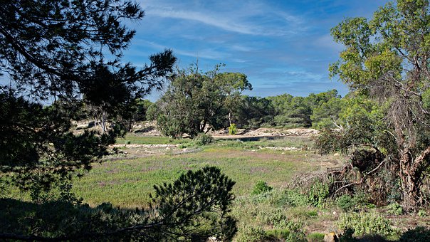 Free Paisaje Naturaleza ai generated image and illustration