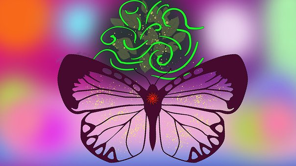 Mariposa, Flor, Color, Decoración