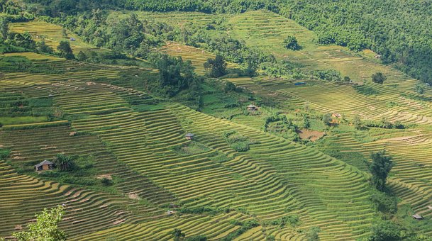 Free Terraces Moutains illustration and picture