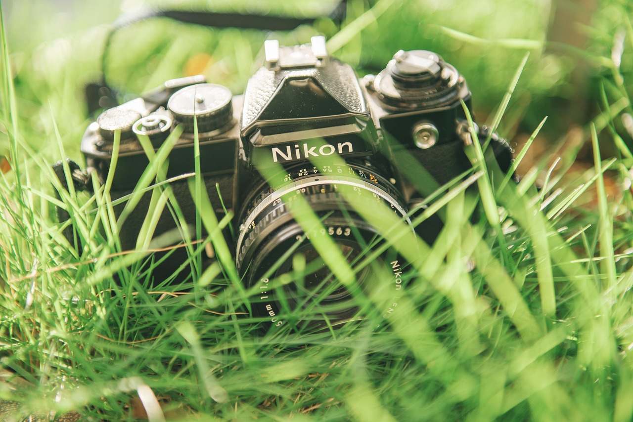 Film Cameras Green Out Door Free photo on Pixabay Pixabay
