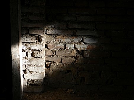 Free Bricks Wall photo and picture
