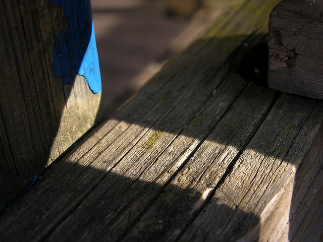 Free Light The Shade photo and picture