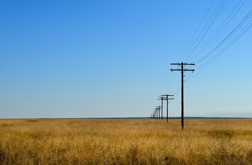 Free Field Grass photo and picture