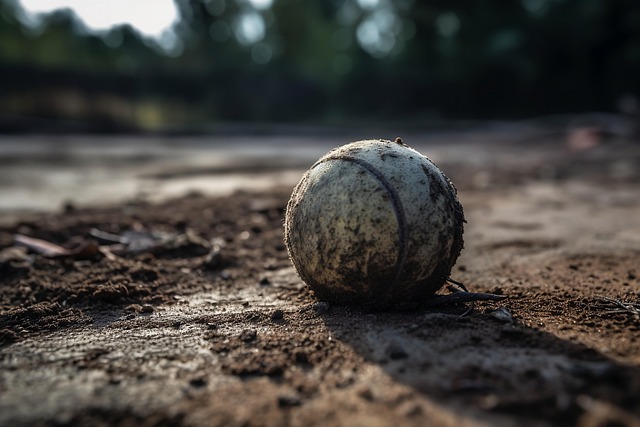 Free tennis ball tennis sports illustration