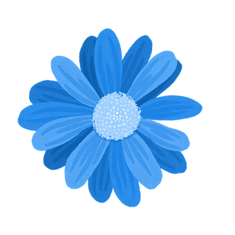 Blomst, Natur, Tusenfryd, Kronblad