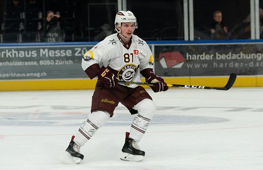 Free Ice Hockey Sports photo and picture