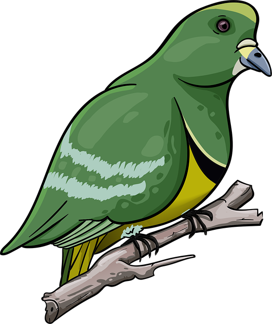 Free bird pigeon beak illustration