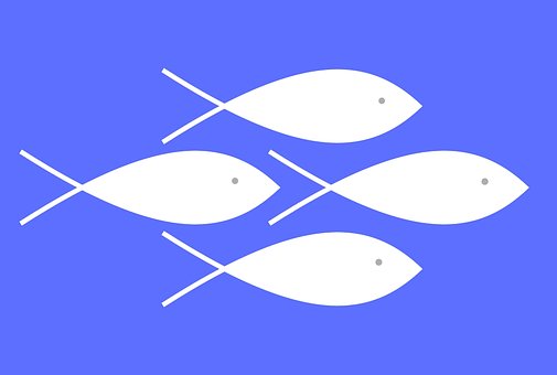 Fisk, Skabelon, Mønster, Dyr, Svømme