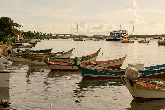Båd, Hav, Strand, Flod, Kano, Kajak