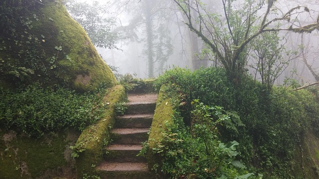 Free Steps Staircase photo and picture