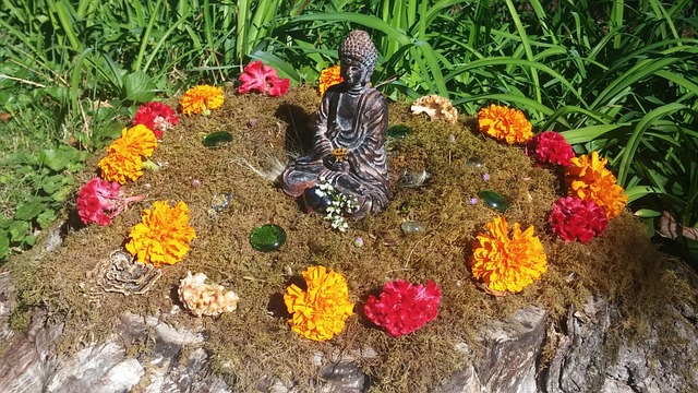 Free Buddha Meditation photo and picture