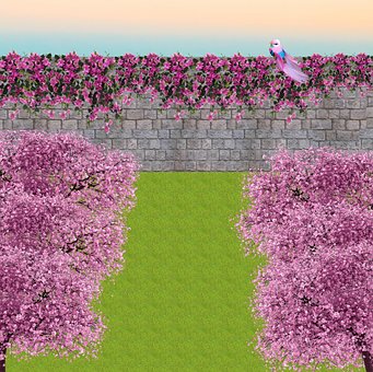 Free Trees Cherry illustration and picture
