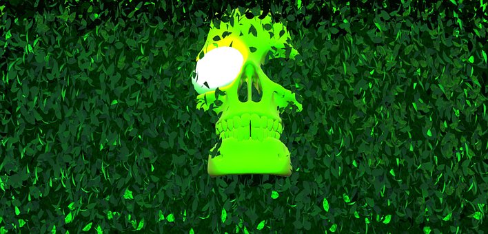 Schädel, Grün, Grüne Blätter, Umwelt