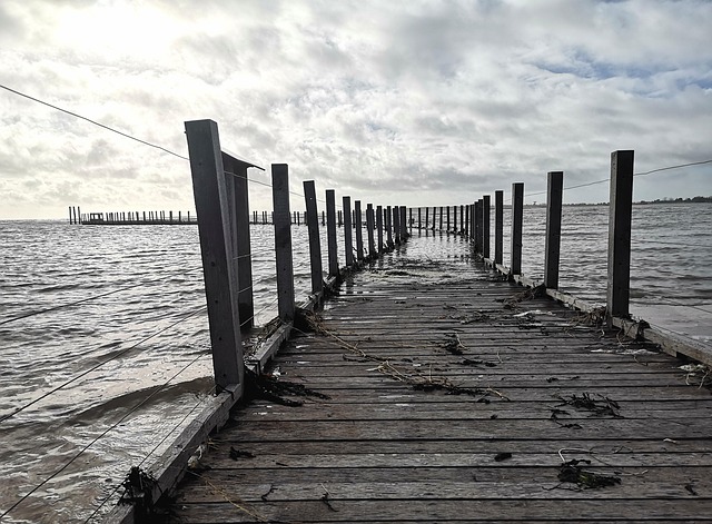 Free Bridge Ocean photo and picture