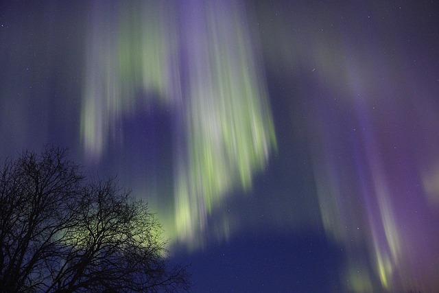 Free Night Auroraborealis photo and picture