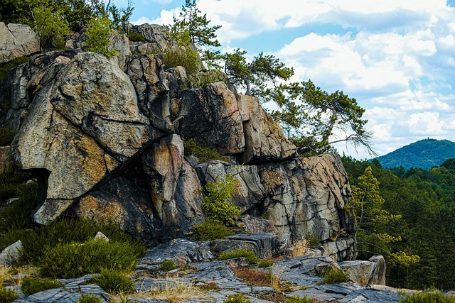 Rotsen, Berg, Woud, Natuur, Land