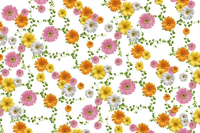花朵, 花卉背景, 雏菊, 图案, 花的, 植物群, 背景, 自然, 图形