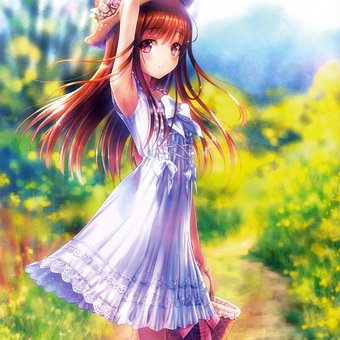 Peisaj, Natura, Pădure, Anime, Drăguţ
