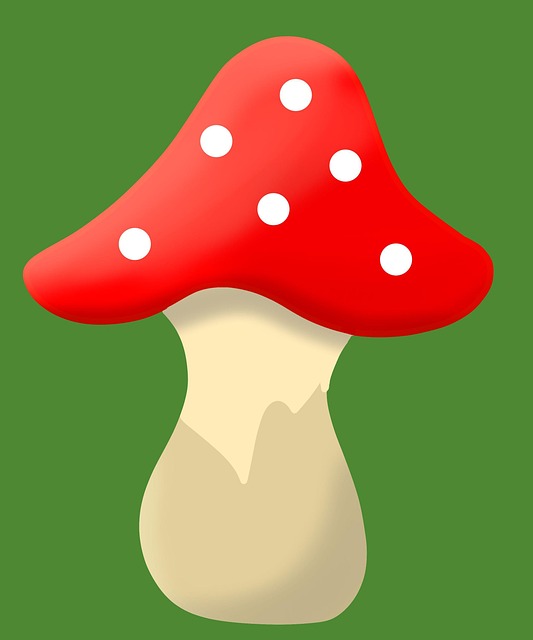 Kreslená Pohádka, Výkres, Houba, Les