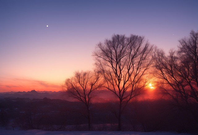 Free sunset dawn grass illustration