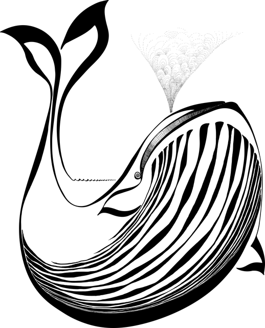 Free whale animal mammal illustration