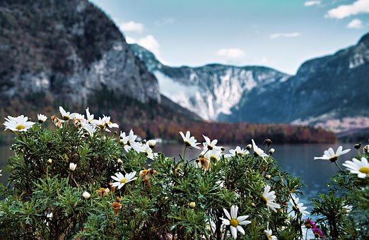Free Ai Generated Mountains photo and picture