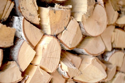 Free Firewood Tree photo and picture