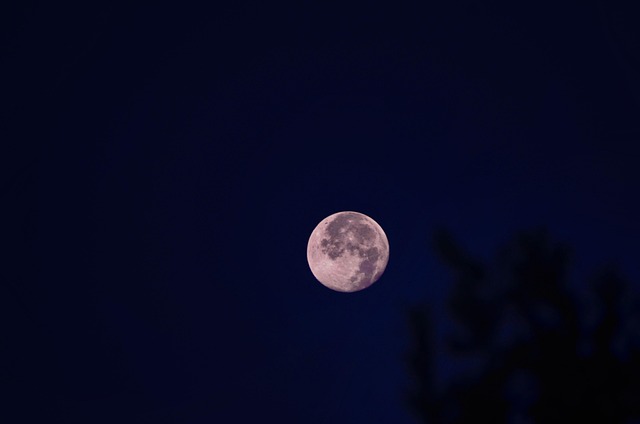 Lua Cheia Noite - Foto gratuita no Pixabay - Pixabay