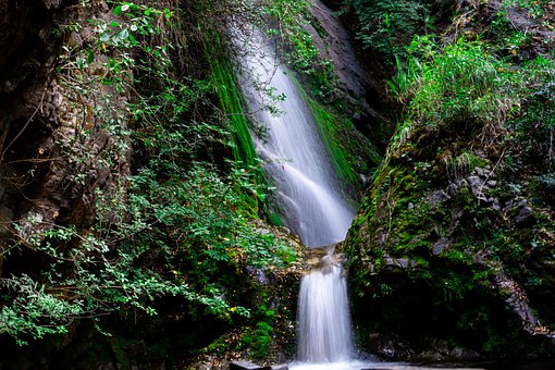 Cascada, Río, Selva, Agua, Naturaleza