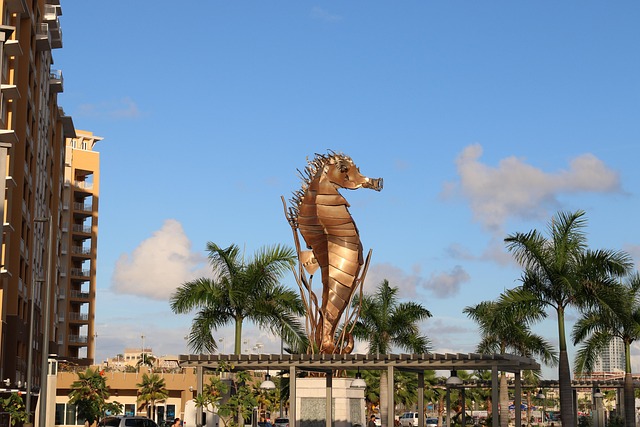 Free Puerto Rico Seahorse photo and picture