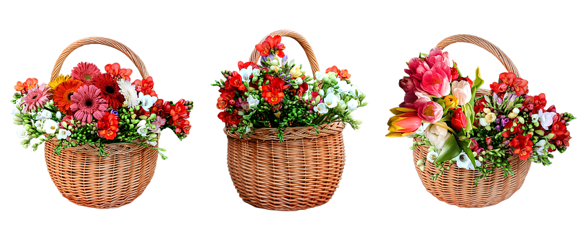 Free Flowers Spring illustration and picture