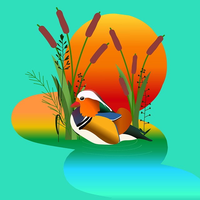 Free mandarin duck duck bird illustration