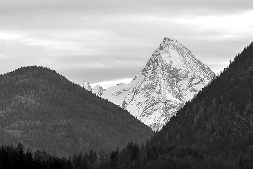 Watzmann, Bjerg, Skov, Højderyg