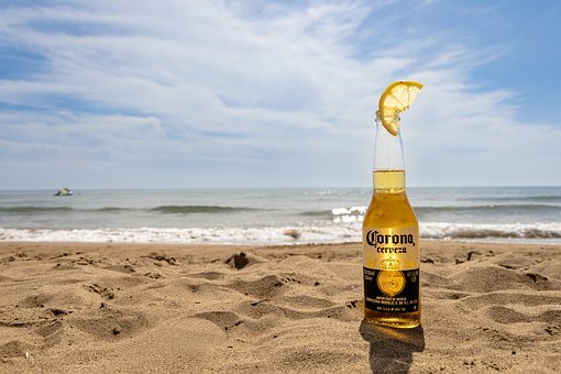 Free Beer Bottle photo and picture