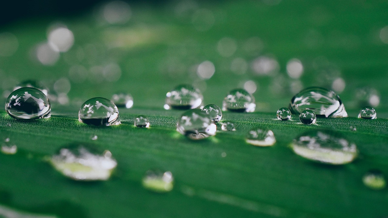 Gotas De Lluvia Agua En Foto Gratis En Pixabay