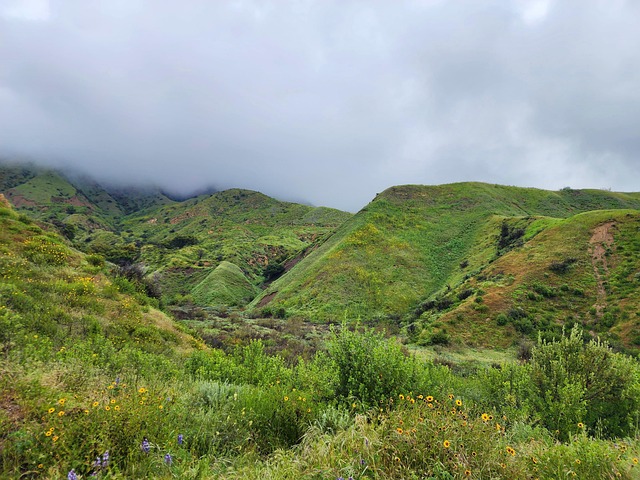 Free Mountain Nature photo and picture